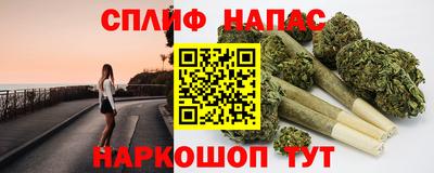 стаф Тара