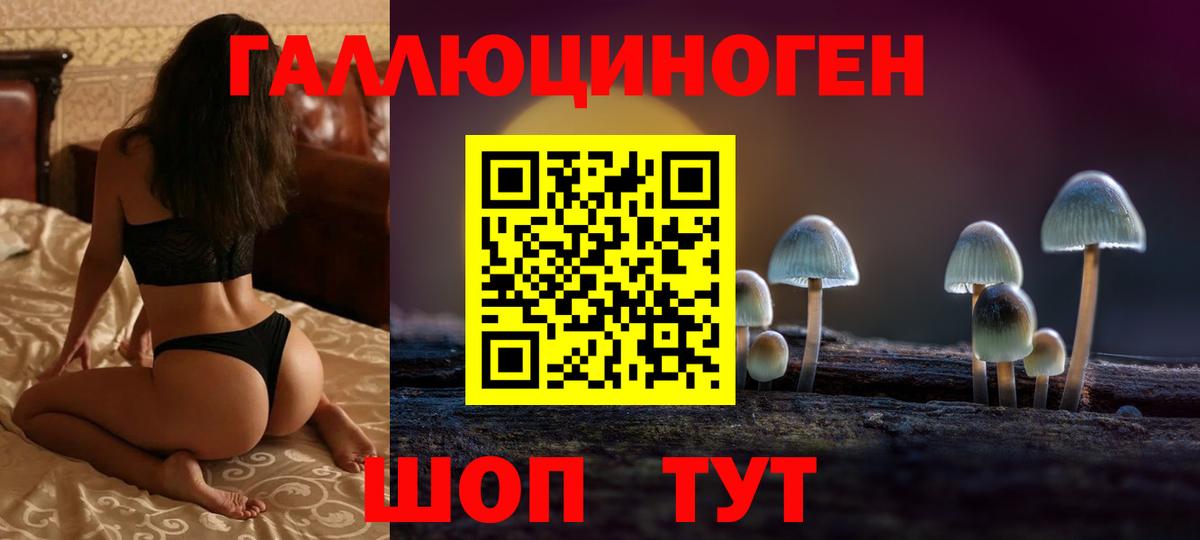 где найти   Галлюциногенные грибы мицелий  Вход с VPN  Дюртюли 
